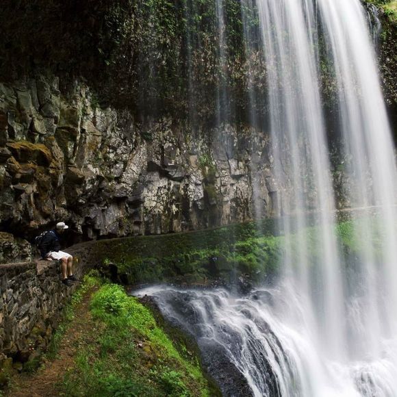 Meet your Posher, Jesse - Picture 1 of 1